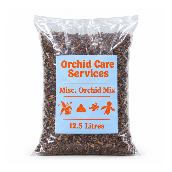 Miscellaneous Orchid Mix