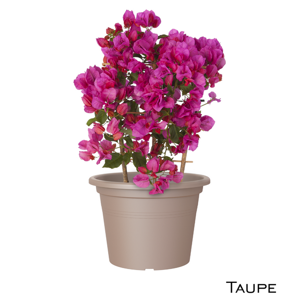 Artivasi Cilindro XL Pot