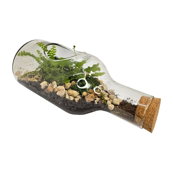 TPF Glass Terrarium On Side