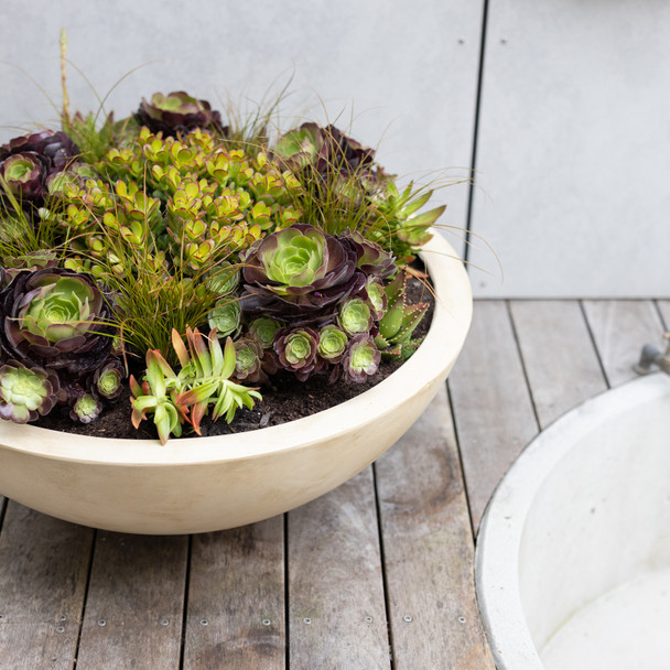 GRC Adva Bowl