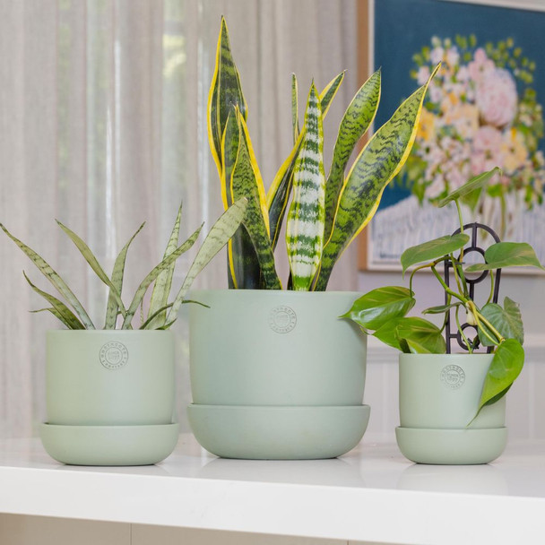 Hana Pot with Saucer