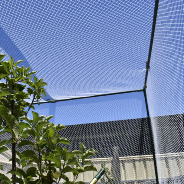 Connecta Frame