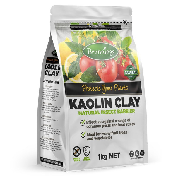 Kaolin Clay 1kg