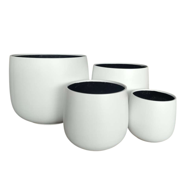 ML-FBG Bunge Planter