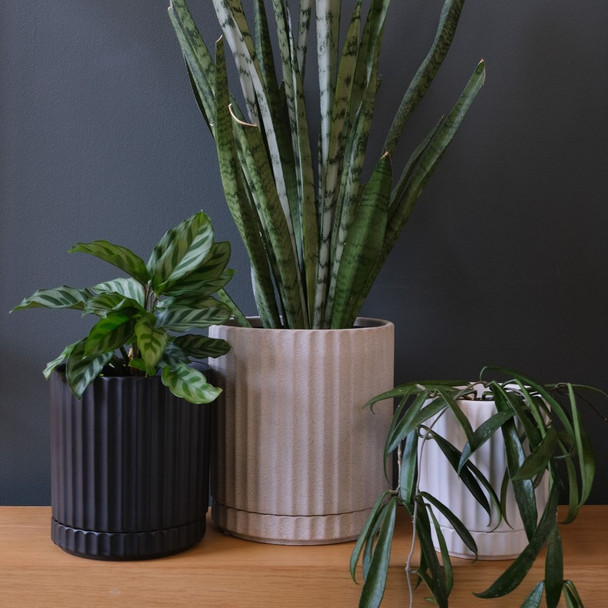 Athens Planter W/S