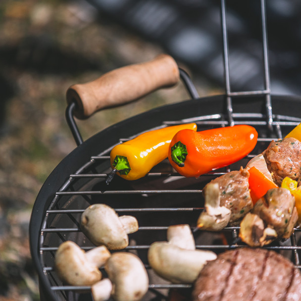 Wanderer Portable BBQ and Fire Pit
