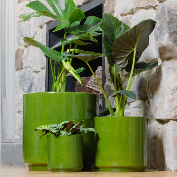 Farah Cylinder Pot Green