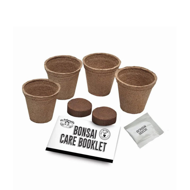 Bonsai Kit Appleblossom