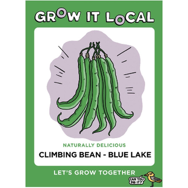 Blue Lake Climbing Bean GIL Seeds