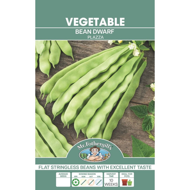 Bean Dwarf Plazza Seeds