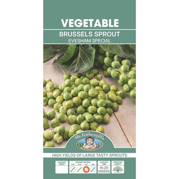 Sprouting Evesham Special Brussels Seeds