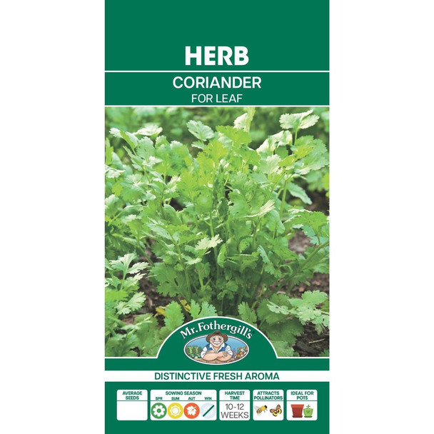 Coriander Seeds