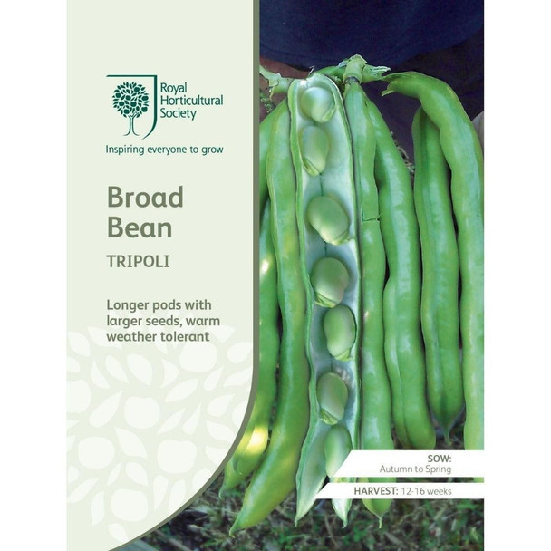 Broad Bean Tripoli Seeds
