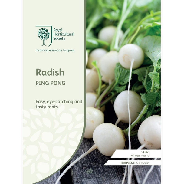 Radish Ping Pong Seeds