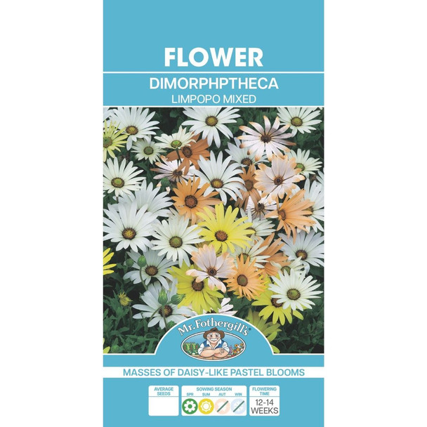African Daisy (Dimorphotheca) Limpopo Seeds