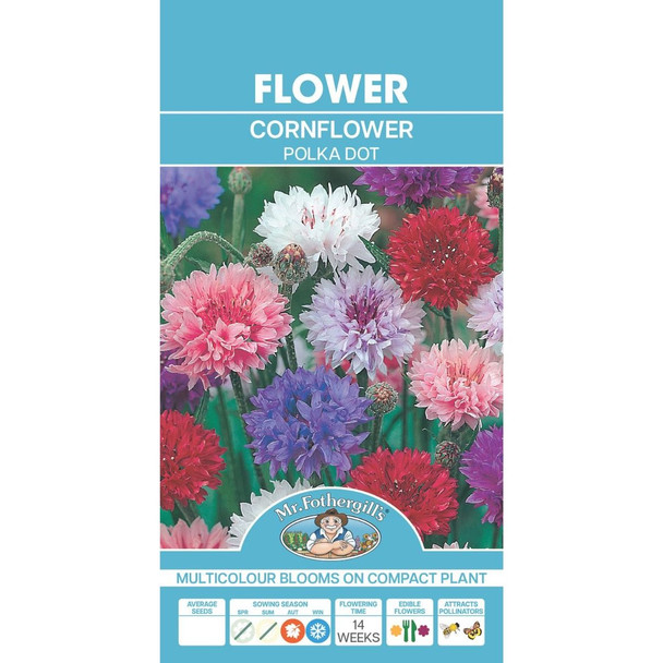 Cornflower Polka Dot Seeds