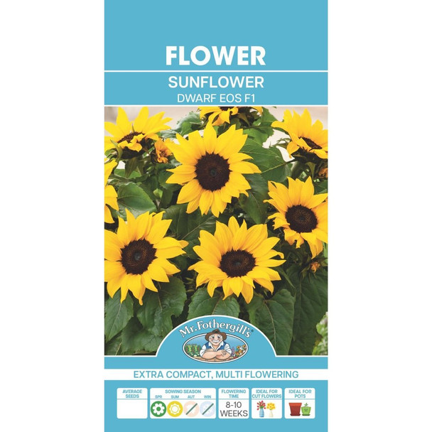 Sunflower Dwarf Eos Seeds