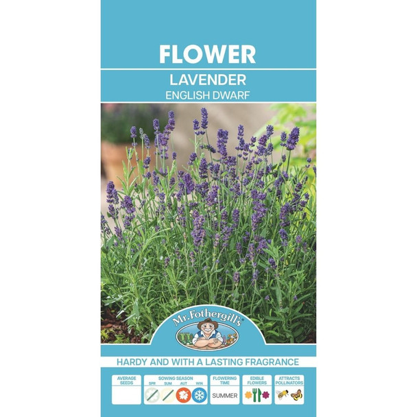Lavender English Dwarf Seeds