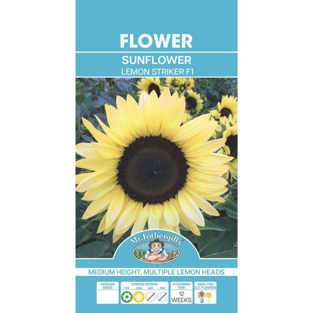 Sunflower Lemon Striker F1 Seeds