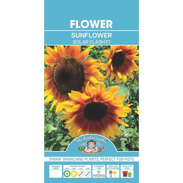 Sunflower Solar Flash F1 Seeds