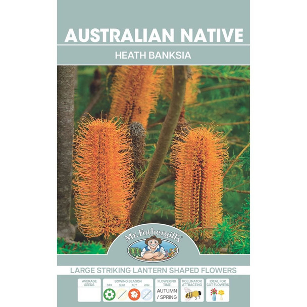 Wildflower Heath Banksia Seeds Packet