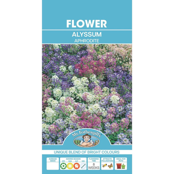 Alyssum Aphrodite Seeds