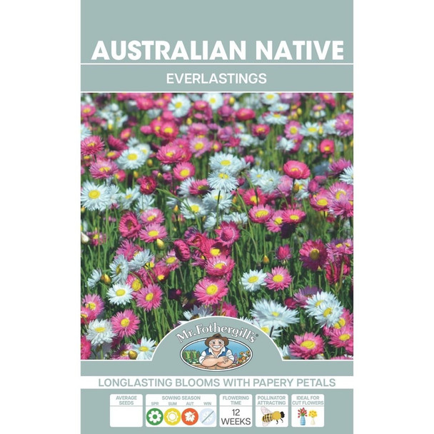 Native Everlasting Daisies Australian Seeds