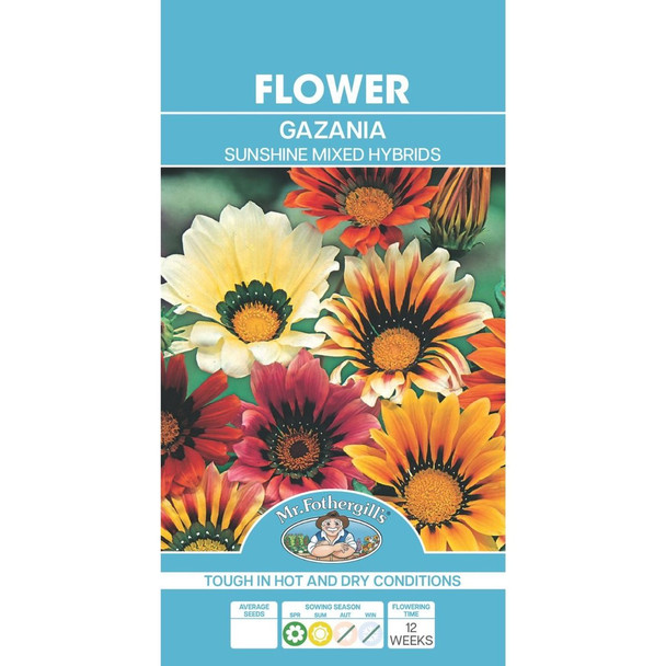 Gazania Sunshine Hybrids Seeds