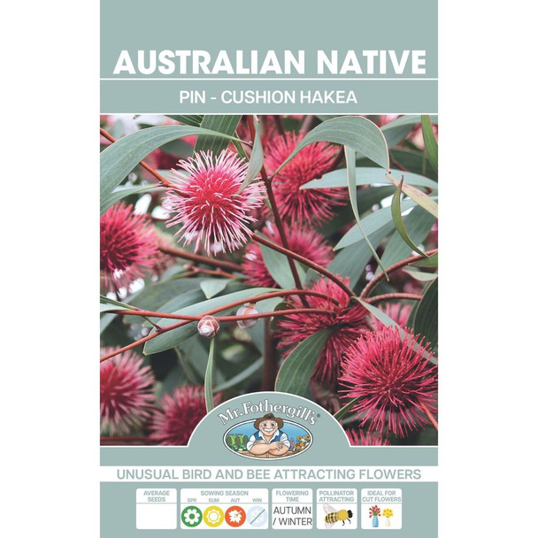 Hakea Australian Native Pincushion Seeds