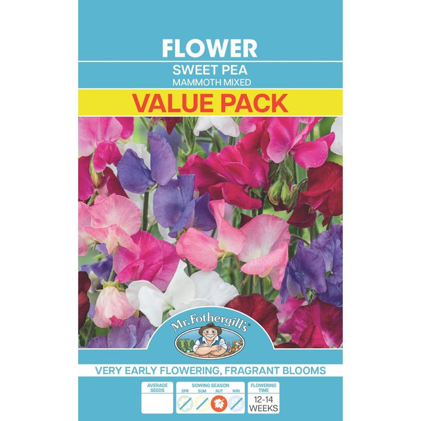 Pack Mammoth Mixed Sweet Pea Seeds Value Seeds