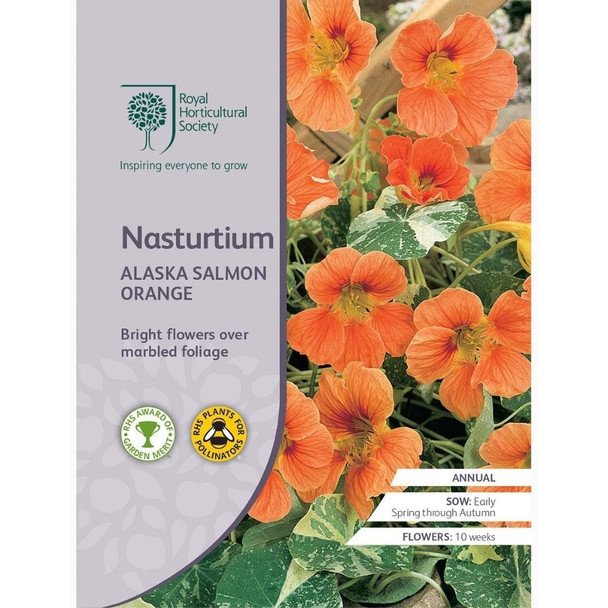 Nasturtium Alaska Salmon Orange Seeds