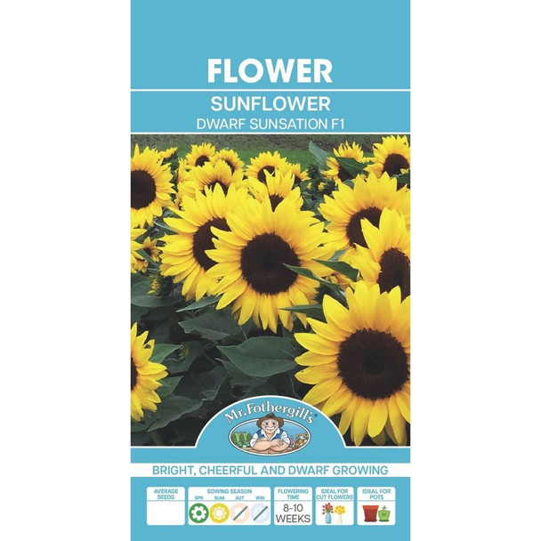 Sunflower Dwarf Sunsation Seeds