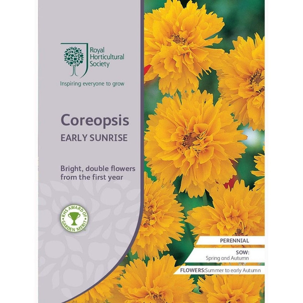 Coreopsis Early Sunrise Seeds
