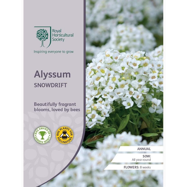 Alyssum Snowdrift Seeds