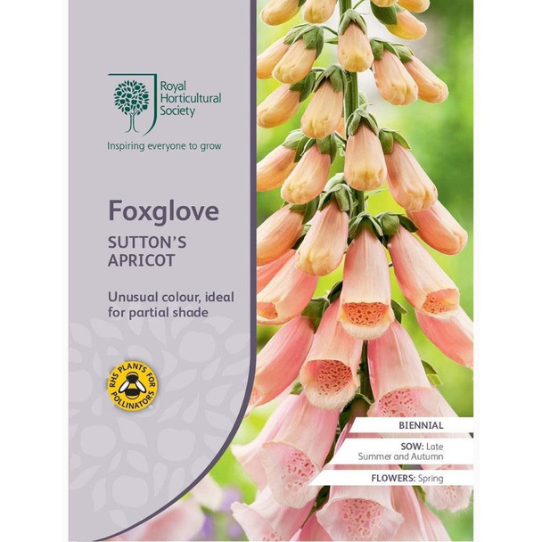 Foxglove Suttons Apricot Seeds