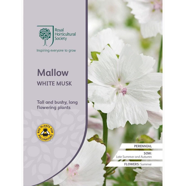 Mallow White Musk Seeds