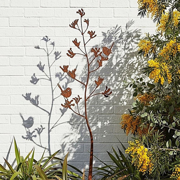Fairy Wren In Kangaroo Paw Sta
