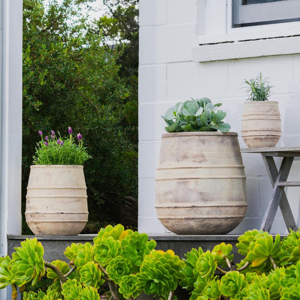 Palermo Braid Belly Vase