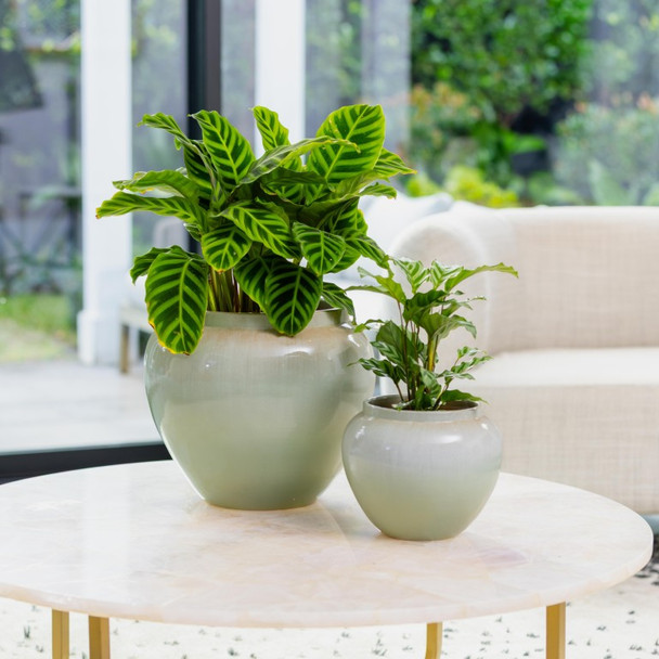 Cloud Egg Pot White
