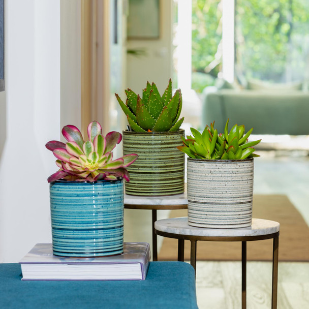 Suri Cylinder Cover Pot