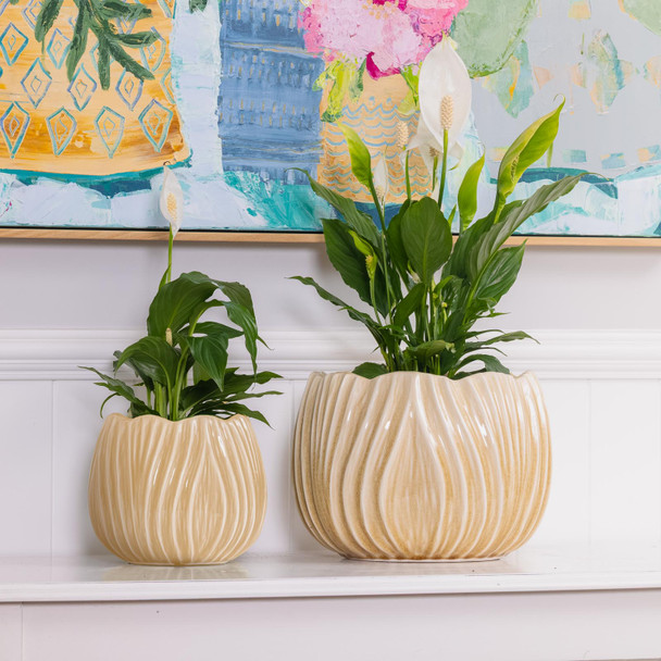 Tulip Pot Sand