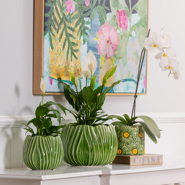 Tulip Pot Green