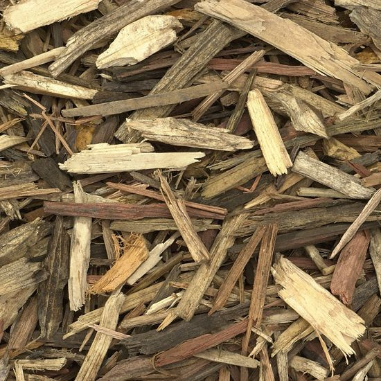 Forest Blend