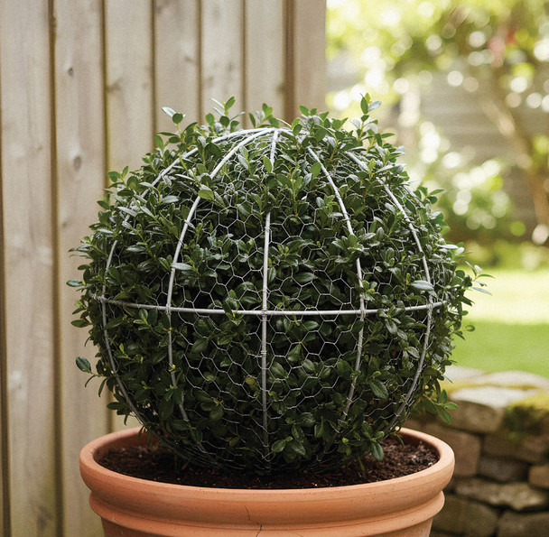 Ball Topiary Frame