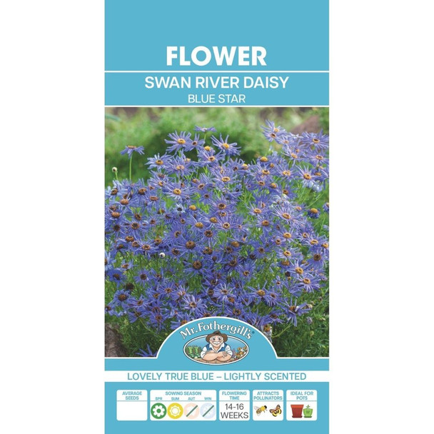 Swan River Daisy Blue Seeds Packet