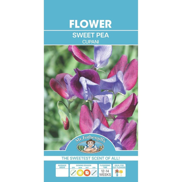 Gomphrena Strawberry Fields Seed Packet