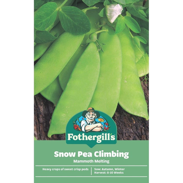 Lettuce Australian Yellow Leaf Seed Packet