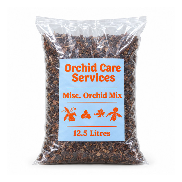 Miscellaneous Orchid Mix