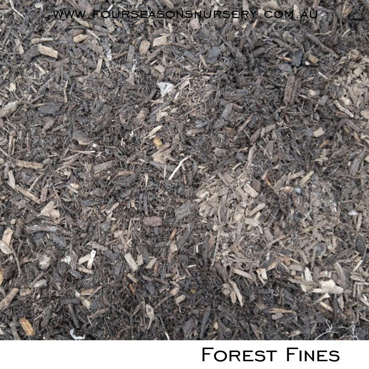 Forest Fines