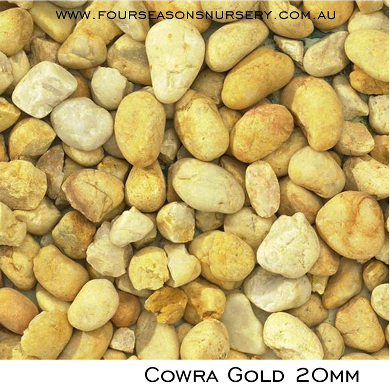 Cowra Gold Pebbles 20kg 20mm